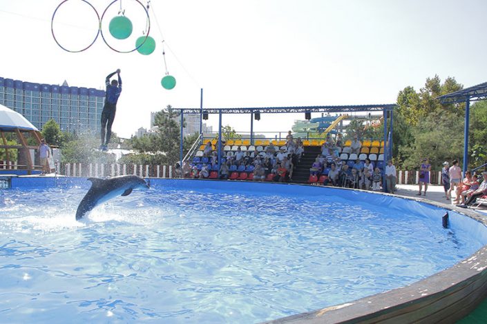 Посещение дельфинария в Парке Победы 30.08.2019